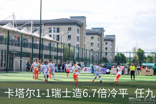 卡塔尔1-1瑞士造6.7倍冷平 任九开53注25.3万元